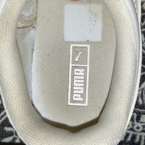 Pumas - Picture 12 of 12